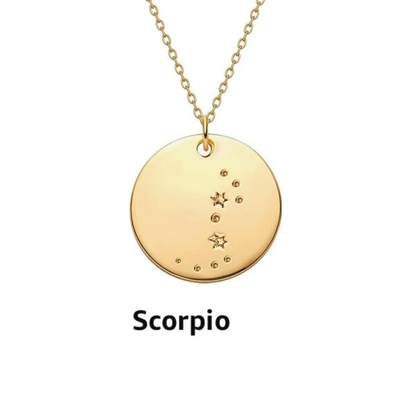 Scorpio Zodiac Sign Disc Constellation Necklace - Picture 1 of 8